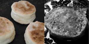 Freshly made English muffins